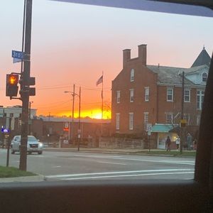 Meet your Posher, Nellie